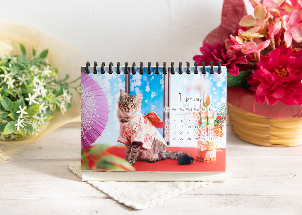 るなこのアルバム