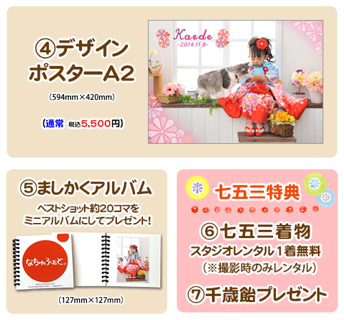 台紙セット
