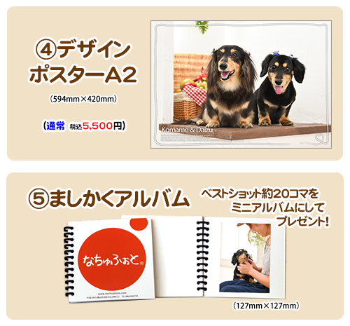 台紙セット